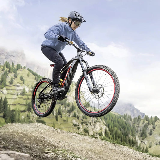Audi electric mountain bike
