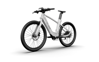 Mercedes-AMG PETRONAS F1® Team Rallye Edition 250 Electric Bike