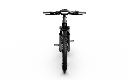 Mercedes-AMG PETRONAS F1® Team Rallye Edition 250 Electric Bike